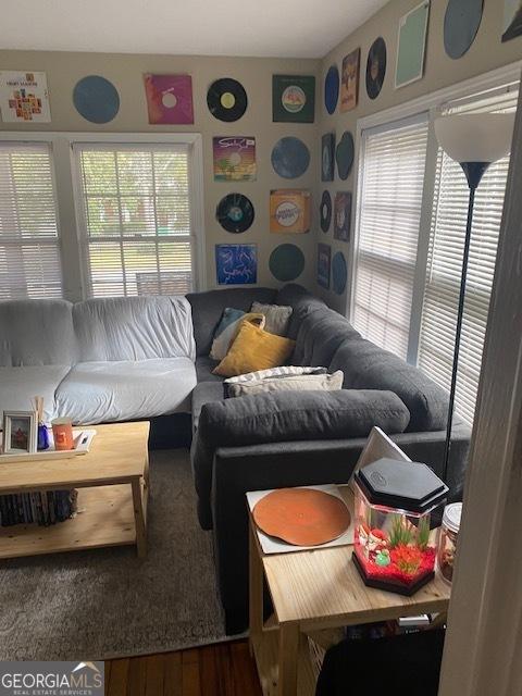 living room featuring hardwood / wood-style flooring