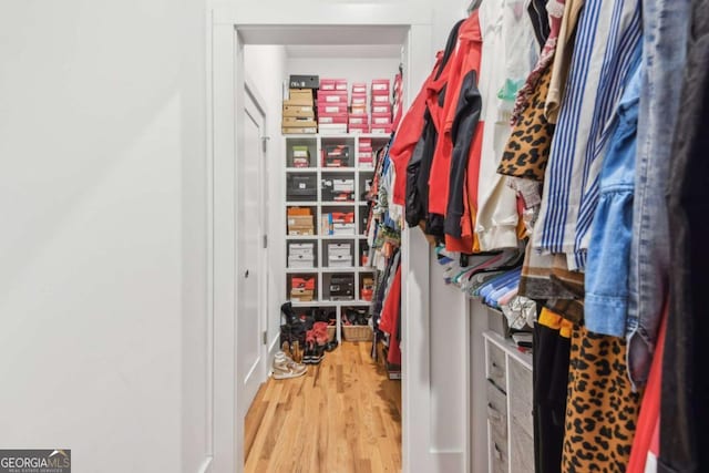 spacious closet featuring wood-type flooring