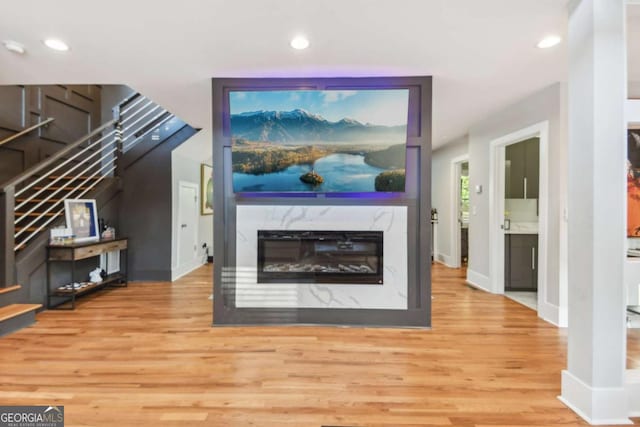 living room featuring a premium fireplace and hardwood / wood-style flooring