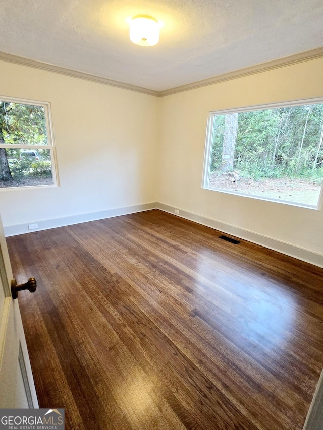 spare room featuring a textured ceiling, dark hardwood / wood-style flooring, and ornamental molding