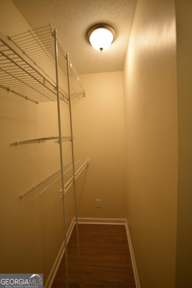 walk in closet featuring wood finished floors