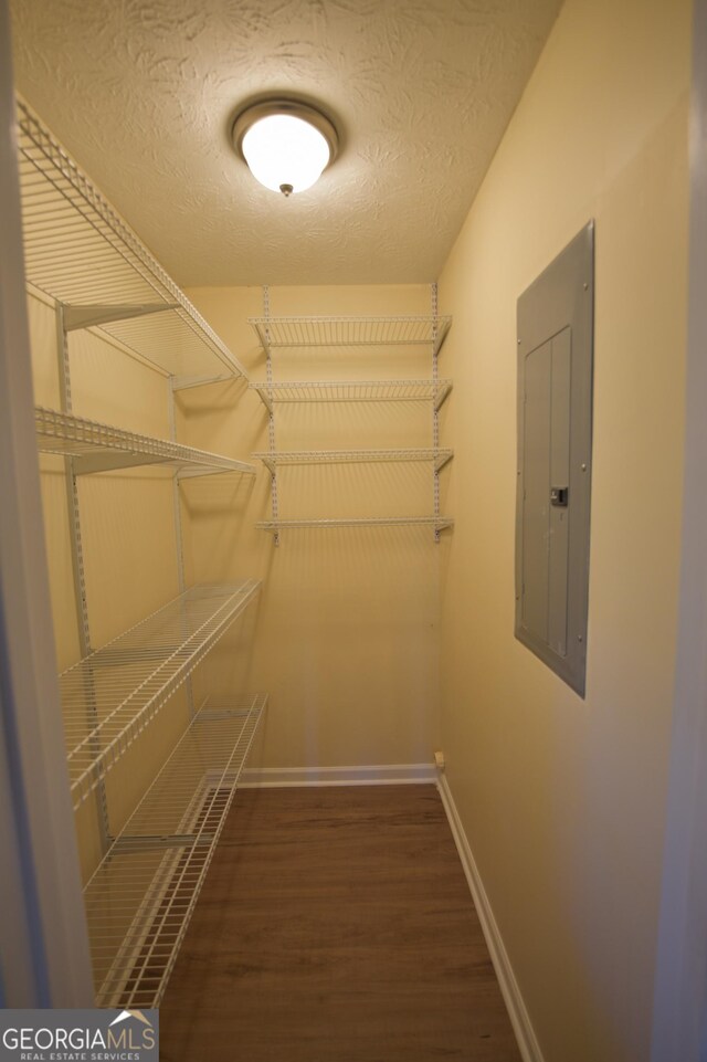 walk in closet featuring dark hardwood / wood-style floors