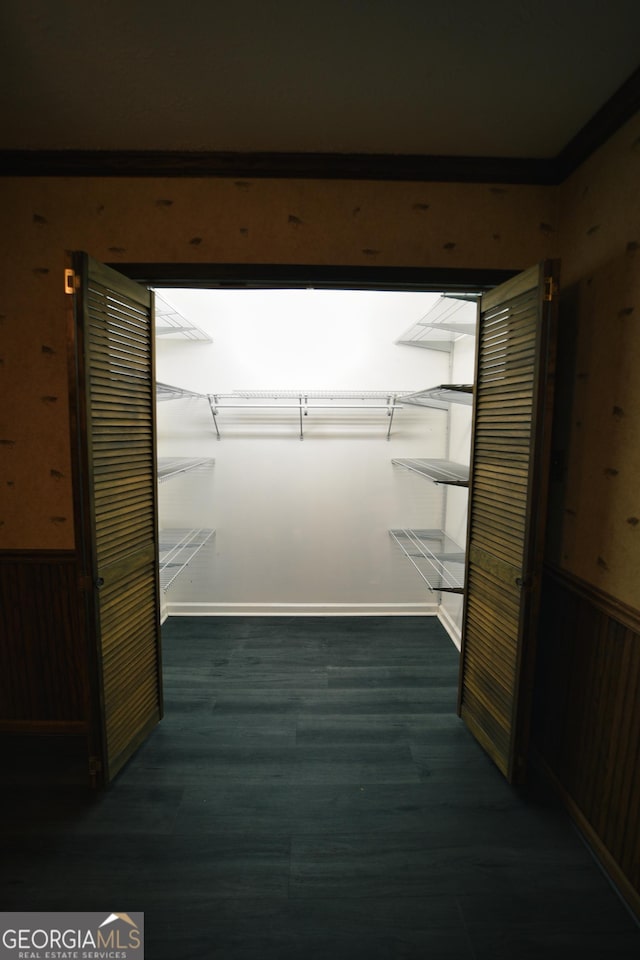 spacious closet featuring wood finished floors