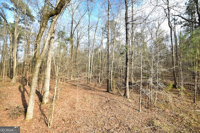 view of nature featuring a forest view