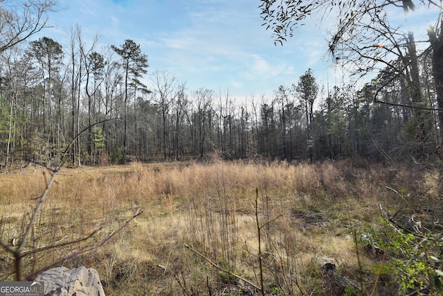 view of local wilderness with a forest view