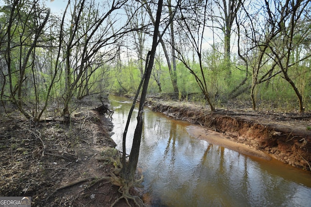 property view of water featuring a wooded view
