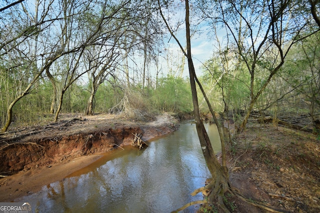 view of water feature