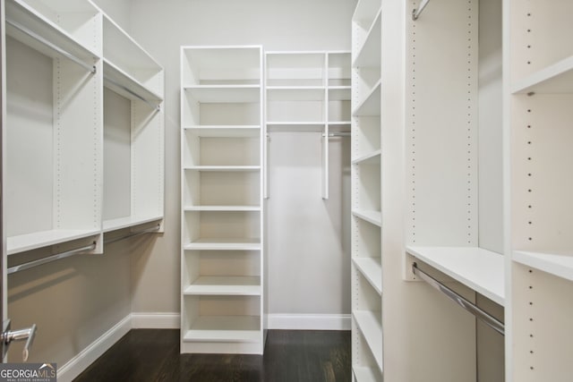 walk in closet with dark hardwood / wood-style flooring