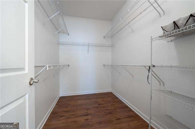 spacious closet featuring dark hardwood / wood-style flooring