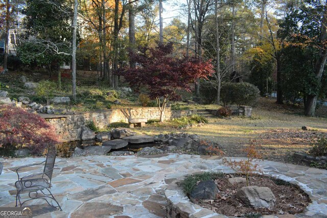 view of yard featuring a patio