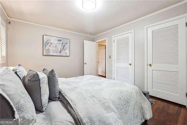 bedroom featuring two closets, dark hardwood / wood-style floors, and ornamental molding