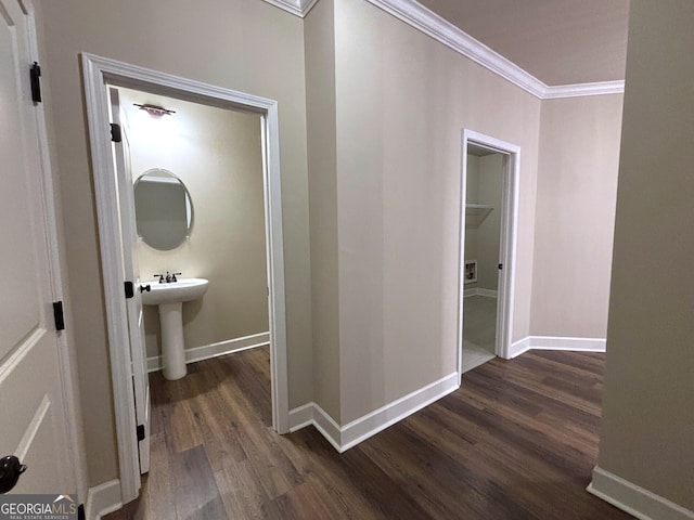 hall with sink, ornamental molding, and dark wood-type flooring