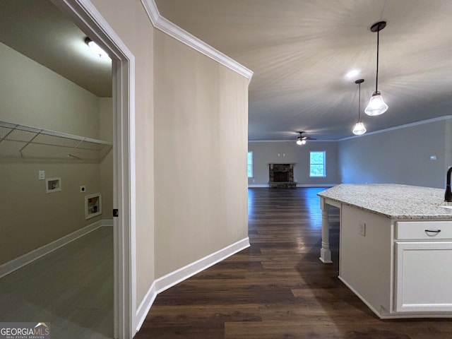 interior space with crown molding and dark wood-type flooring