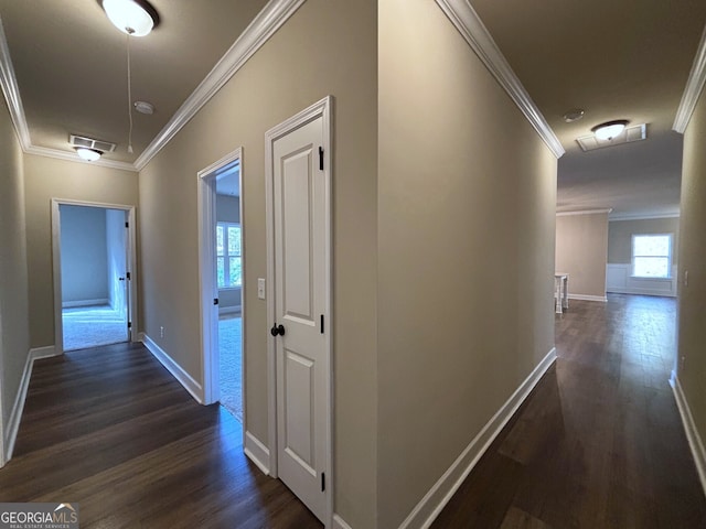 corridor with dark hardwood / wood-style floors and crown molding