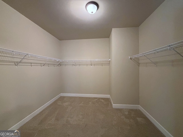 walk in closet featuring carpet floors