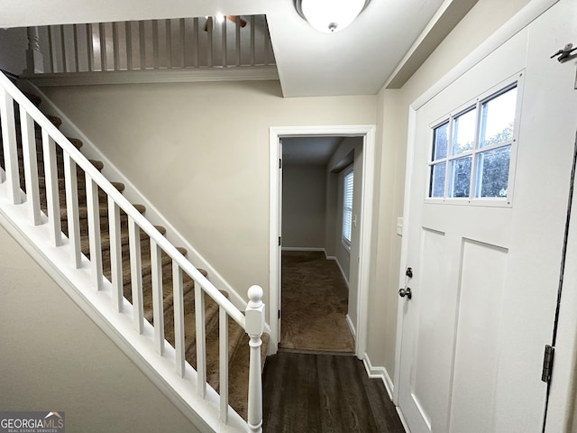 staircase featuring hardwood / wood-style flooring