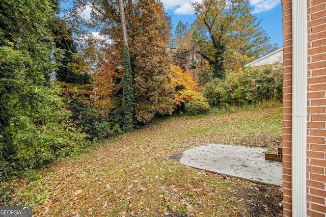 view of yard featuring a patio area