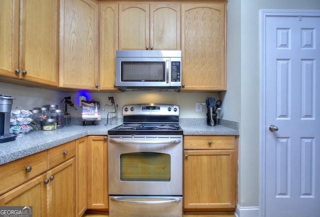 kitchen with light brown cabinetry and stainless steel appliances