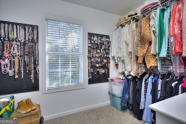 walk in closet with carpet flooring