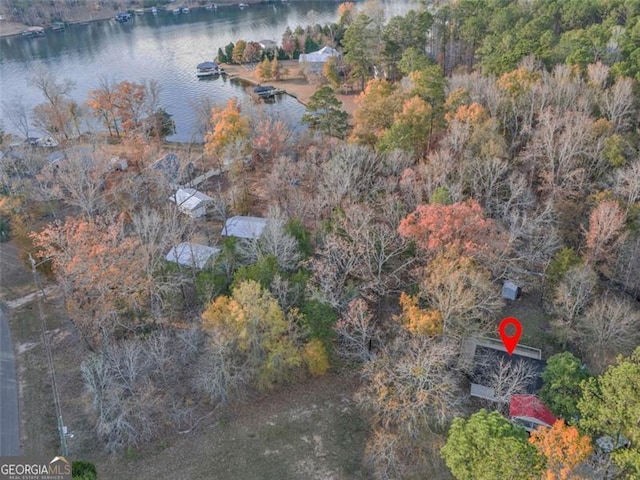 bird's eye view featuring a water view