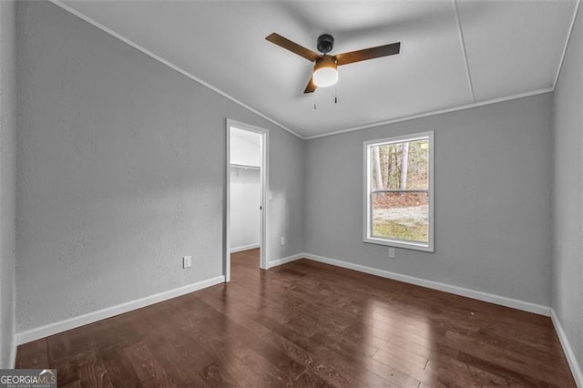 unfurnished bedroom featuring ceiling fan, a walk in closet, dark wood-type flooring, and ornamental molding