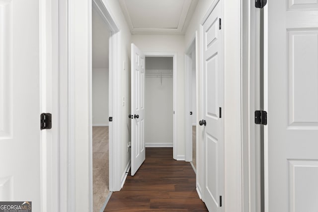 corridor with dark hardwood / wood-style floors