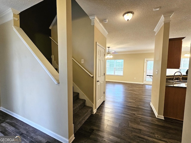 stairs featuring ceiling fan, sink, crown molding, a textured ceiling, and hardwood / wood-style flooring