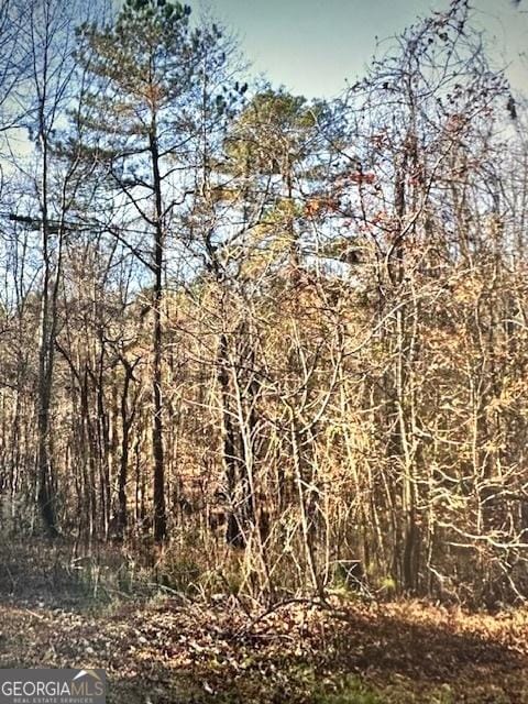 0 Cascade Palmetto Hwy, Chattahoochee Hills GA, 30268 land for sale