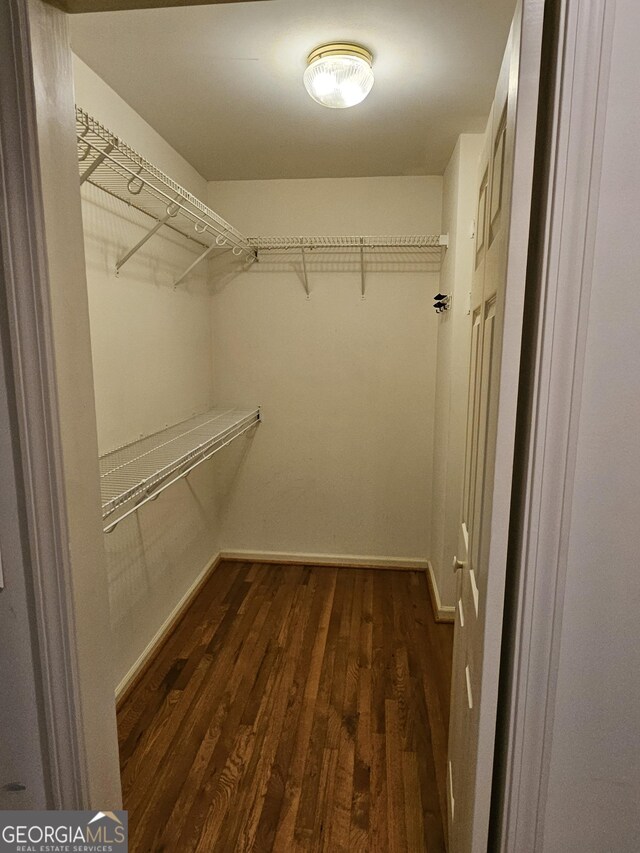 spacious closet with dark hardwood / wood-style floors