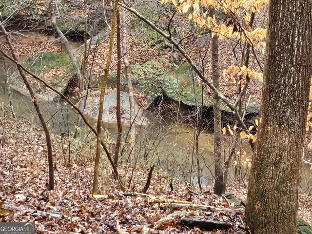 view of local wilderness