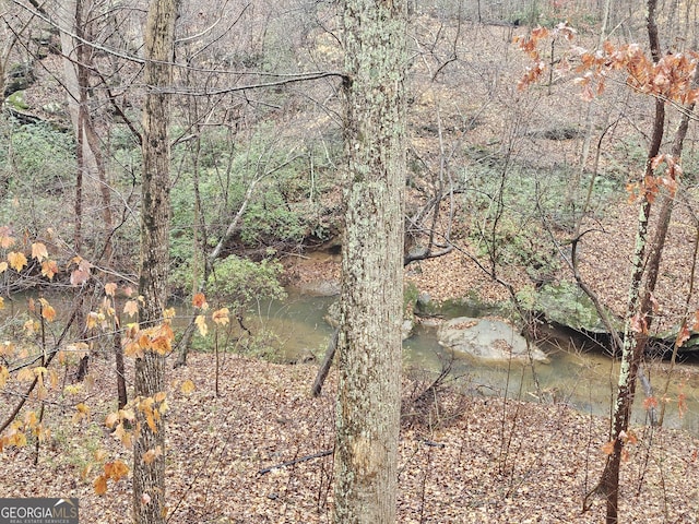 view of landscape featuring a water view