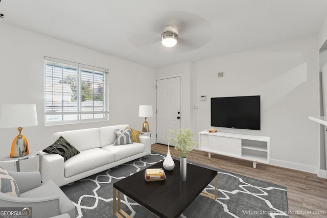 living room with ceiling fan and hardwood / wood-style flooring