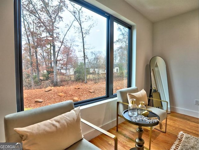 sitting room featuring hardwood / wood-style floors