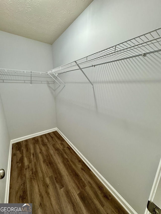 walk in closet featuring wood-type flooring