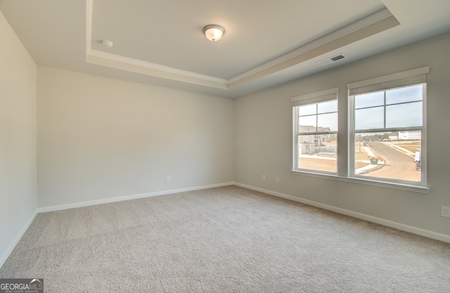 carpeted empty room featuring a raised ceiling