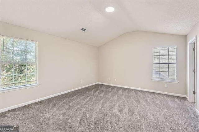 spare room with carpet floors, vaulted ceiling, and a wealth of natural light