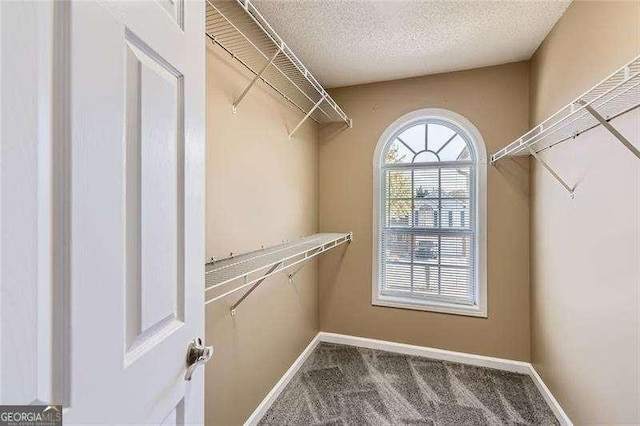 spacious closet featuring carpet floors