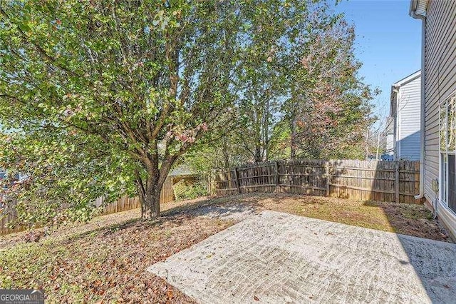 view of yard featuring a patio area