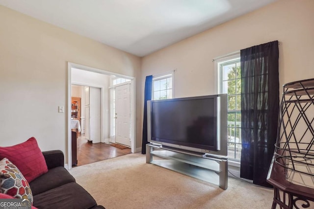 living room with carpet floors