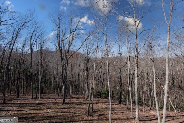 view of local wilderness