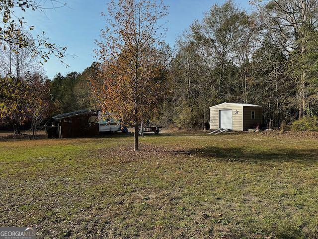 view of yard with a storage shed