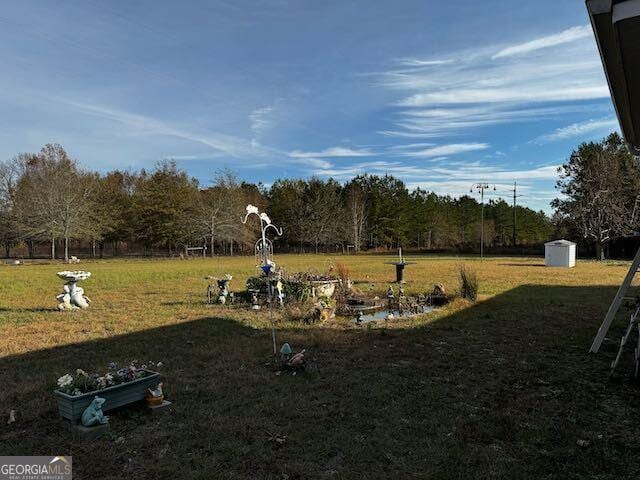 view of yard with a shed