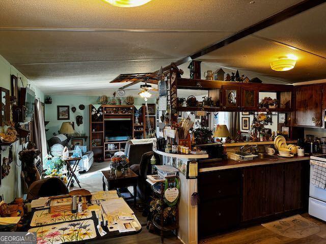 kitchen with ceiling fan, wood-type flooring, dark brown cabinetry, and white stove