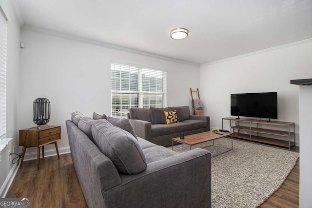 living room featuring crown molding and dark wood-type flooring