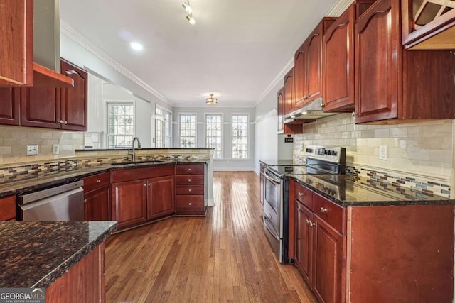 kitchen featuring appliances with stainless steel finishes, dark stone counters, dark wood-type flooring, and sink