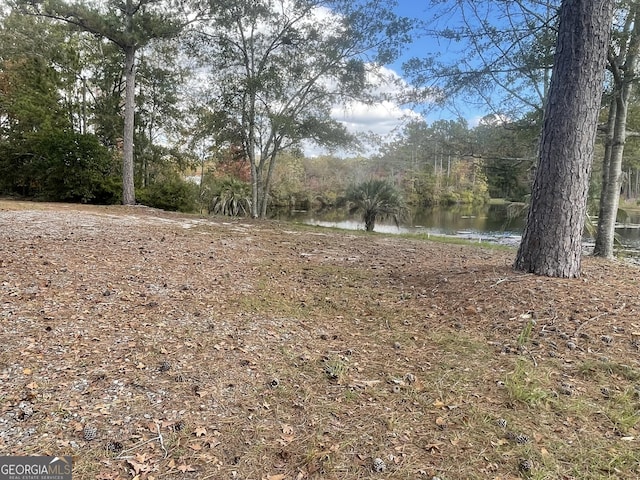 view of yard featuring a water view