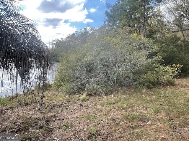 view of landscape