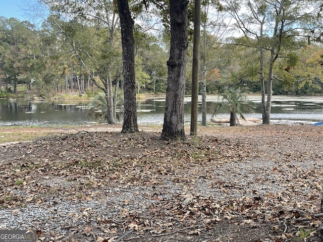 view of yard with a water view