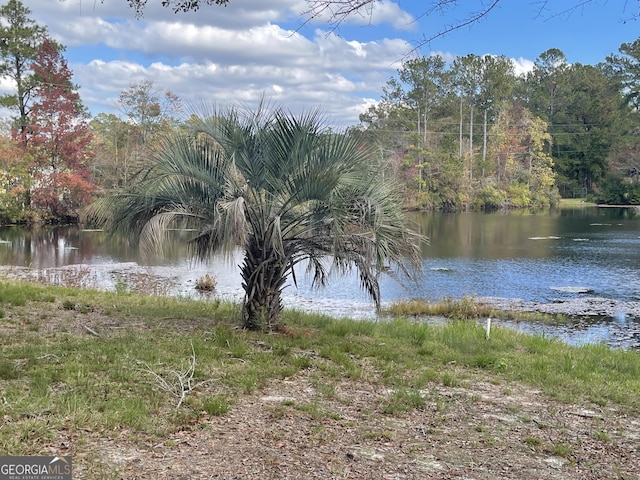 view of water feature