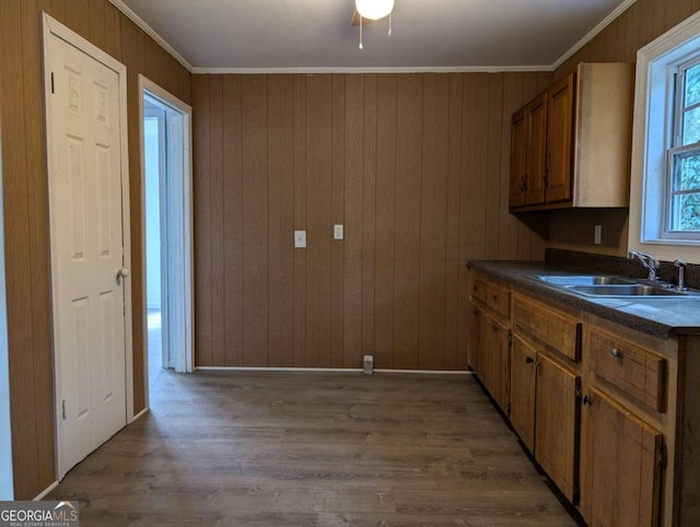 kitchen featuring wood walls, dark hardwood / wood-style floors, ornamental molding, and sink